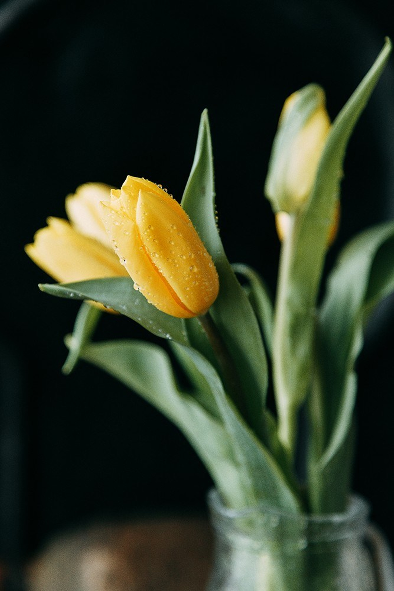 ПАСХАЛЬНАЯ ИСТОРИЯ