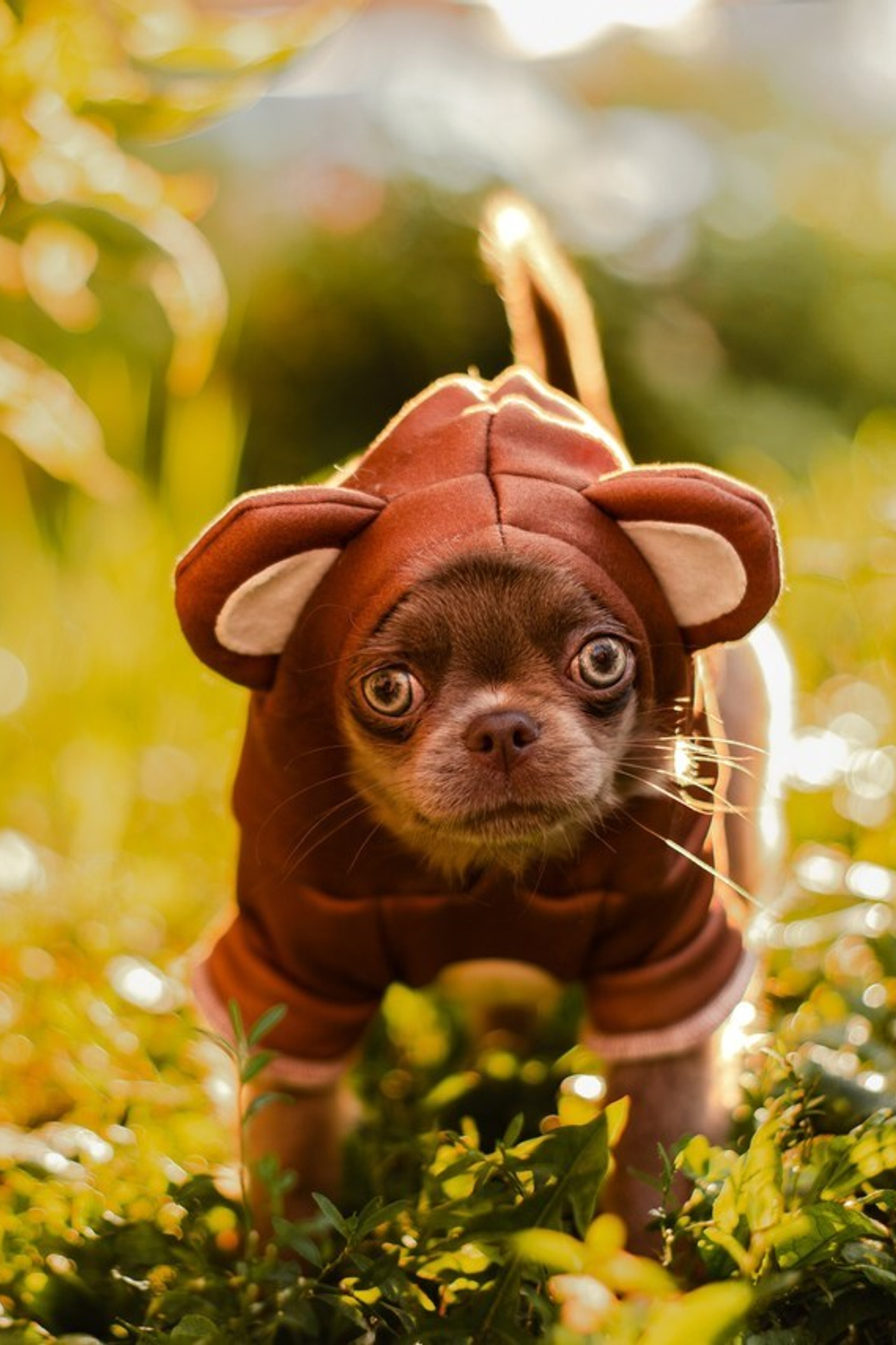 Отзывы. Фотограф-анималист Мария Баркевич | Москва