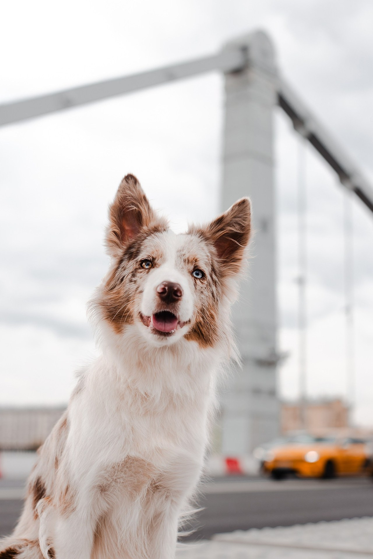 Отзывы. Фотограф-анималист Мария Баркевич | Москва