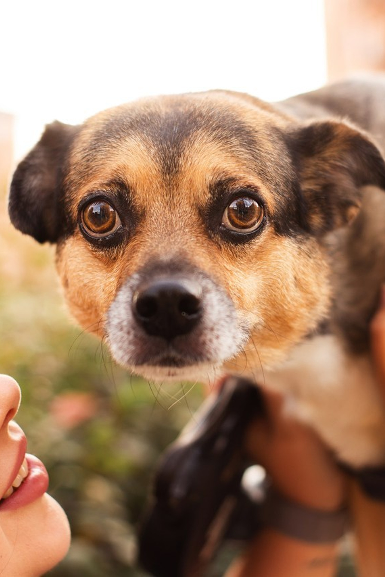 Отзывы. Фотограф-анималист Мария Баркевич | Москва