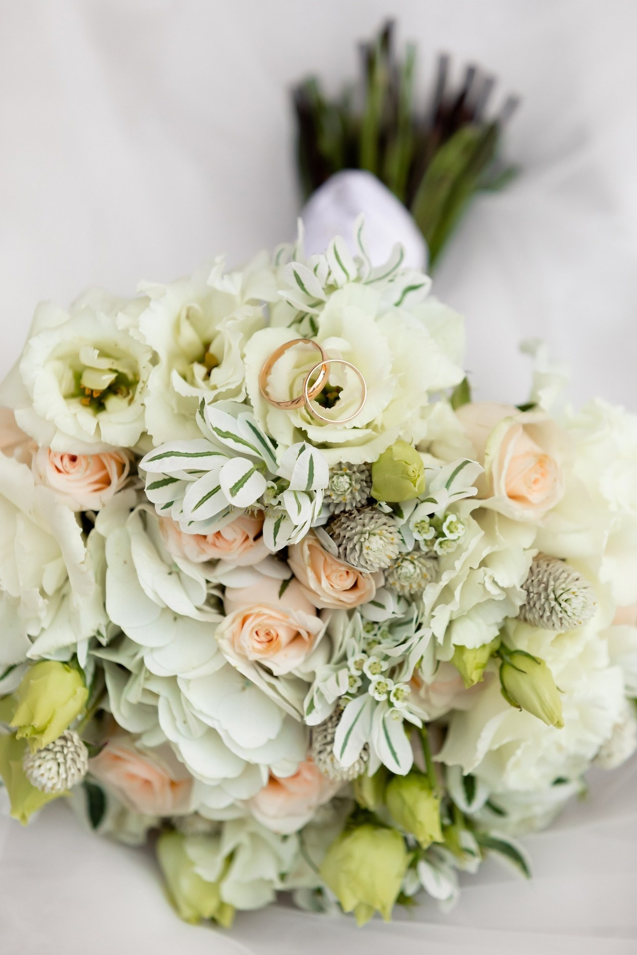 Отзывы о фотографе Дмитрии Черкасове. Cherkasovpro.ru