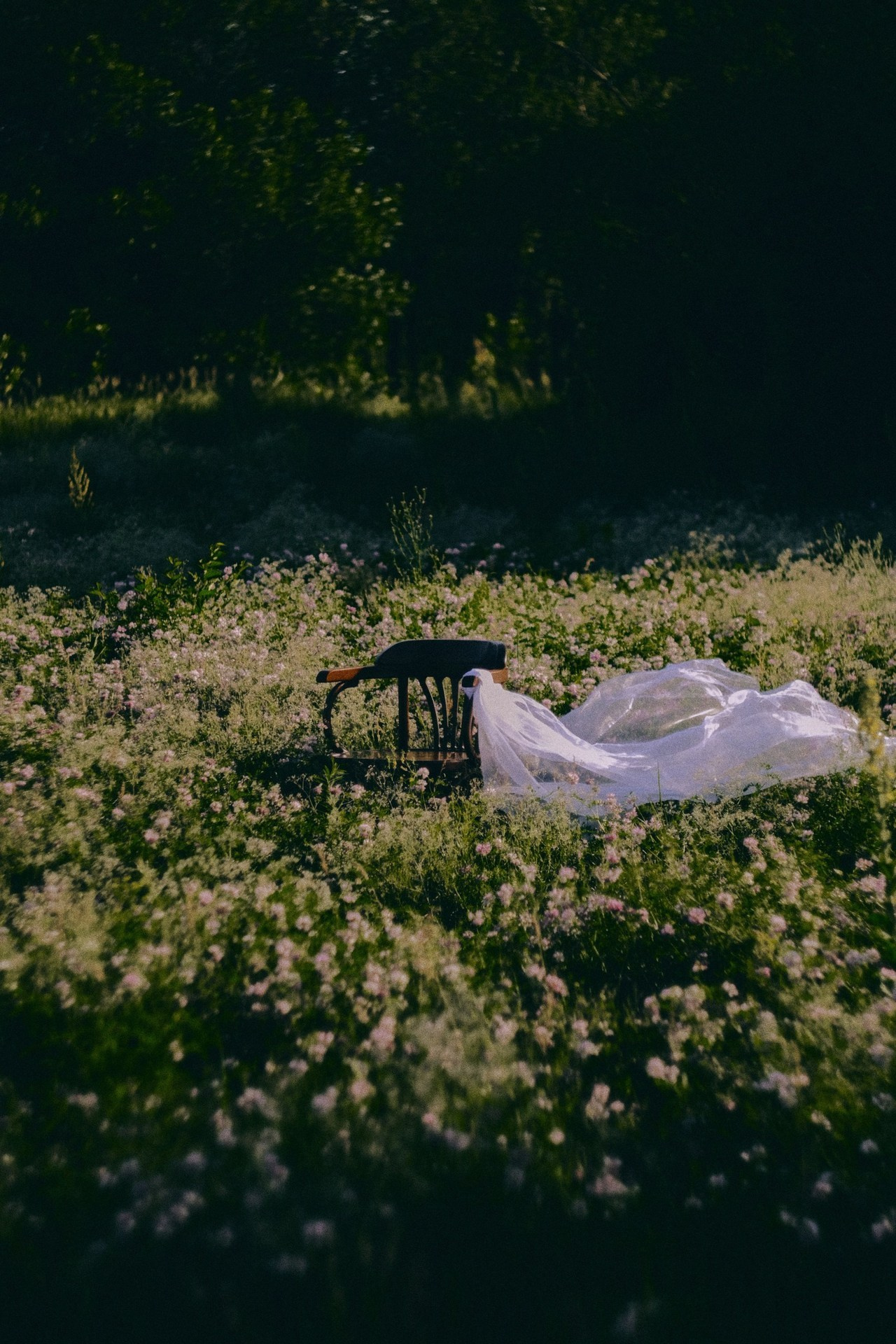 Отзывы. Твой фотограф из г. Тольятти Александр Воронин