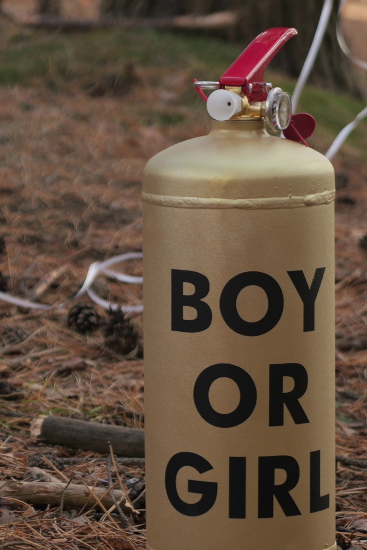 Отзывы. Семейный и свадебный видеограф в Красноярске Тюнев Алексей