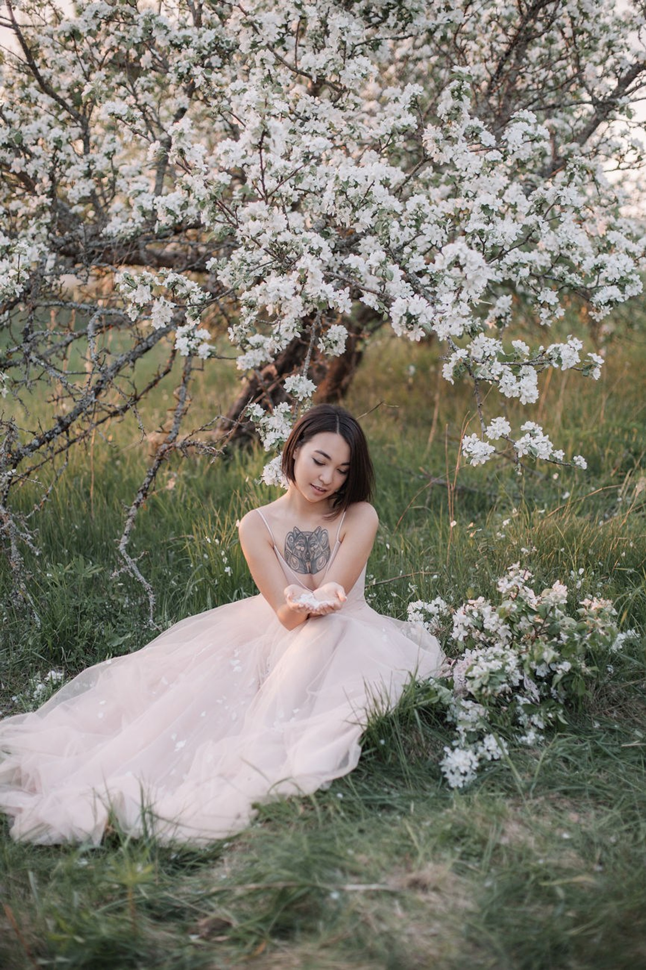 Цветущий сад