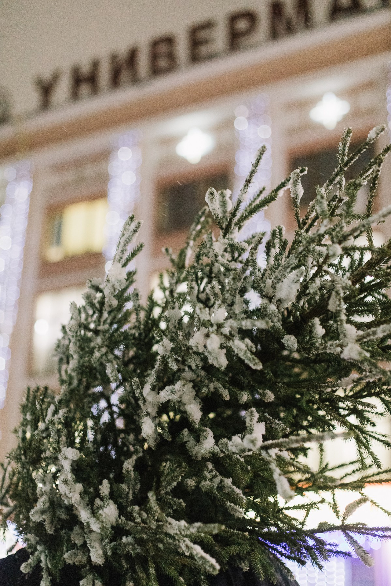 Наташа и Александр