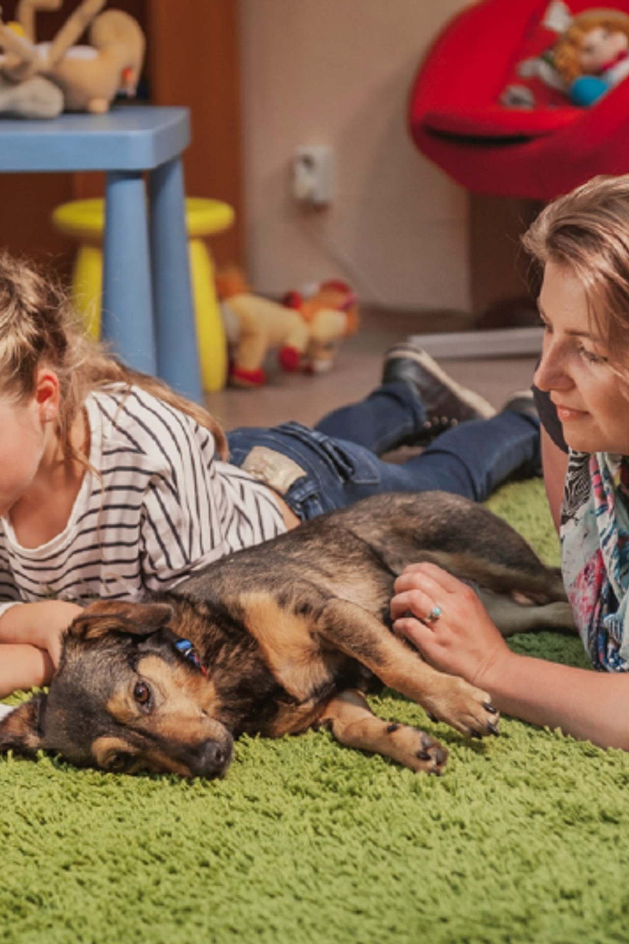 Happy Halloween!. Фотограф собак, фотограф-анималист Аня Титова (Titanya). Москва