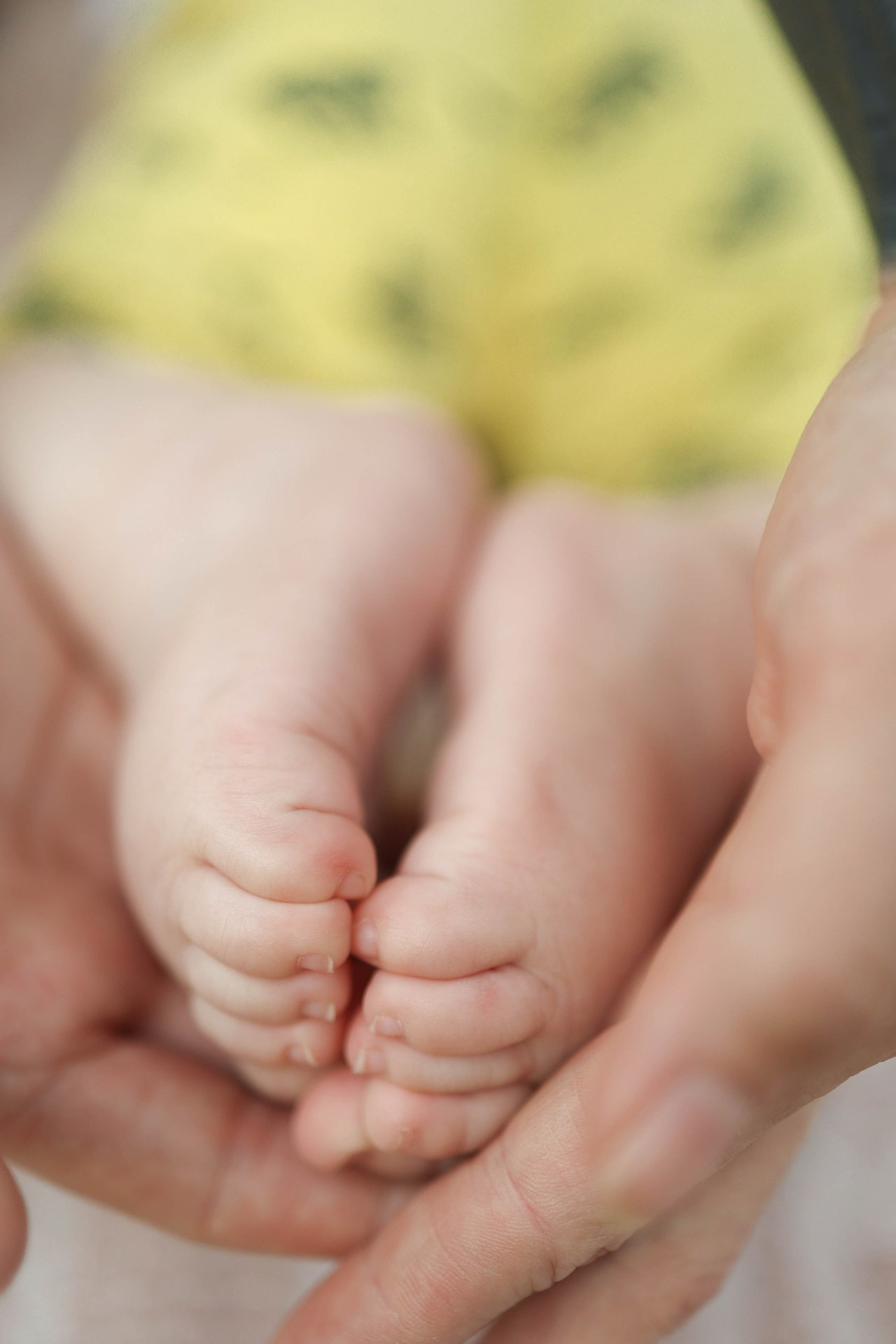 Отзывы. Фотограф Донецк. Горловка. ДНР. Севастополь