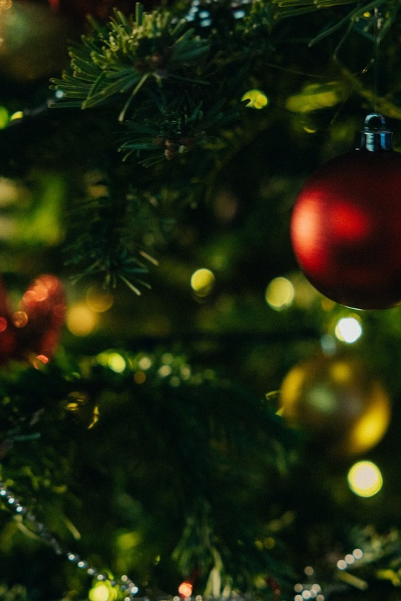 Отзывы. Репортажный Фотограф Москва