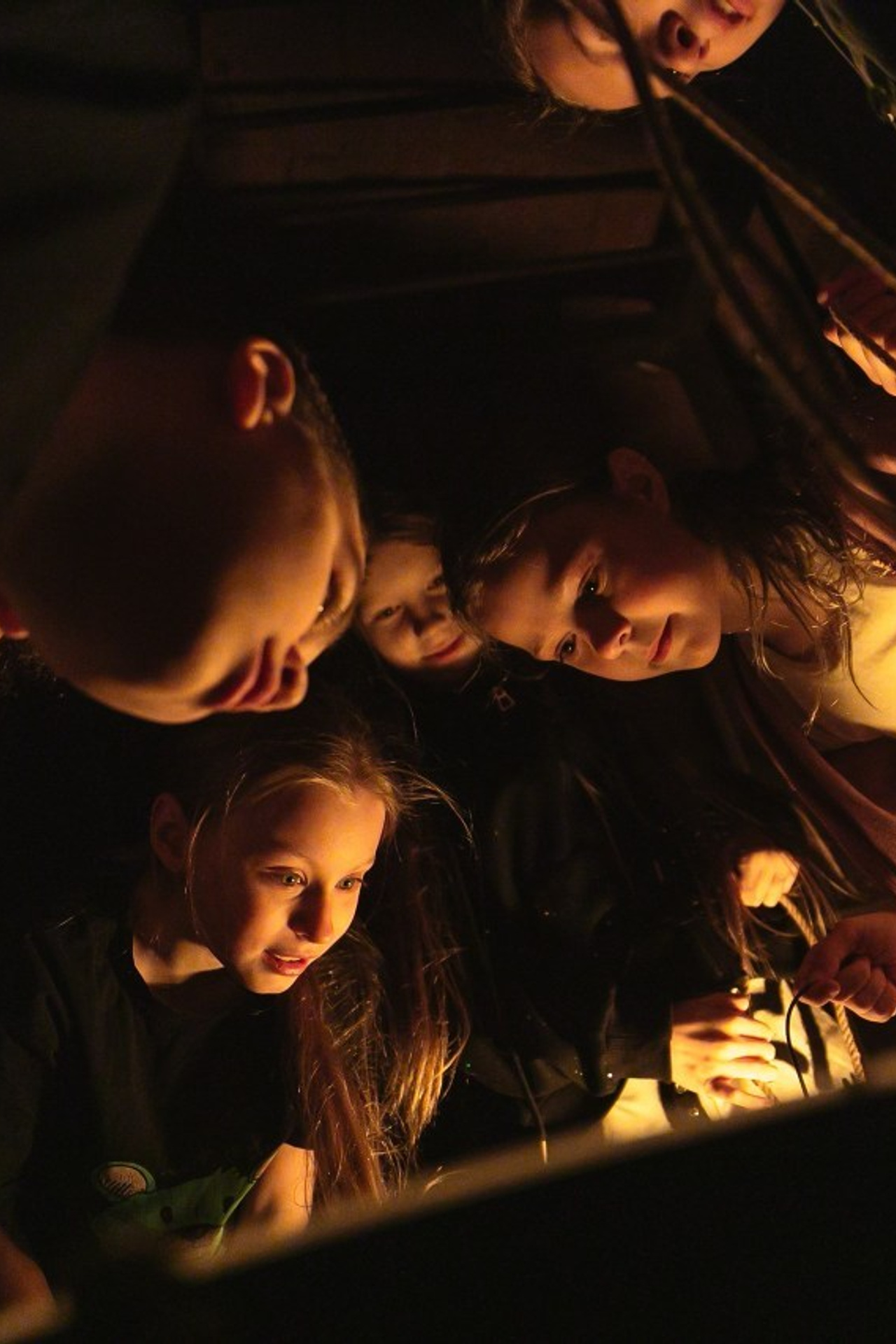 Отзывы. Свадебный и семейный фотограф в Красноярске Абраменко Настя