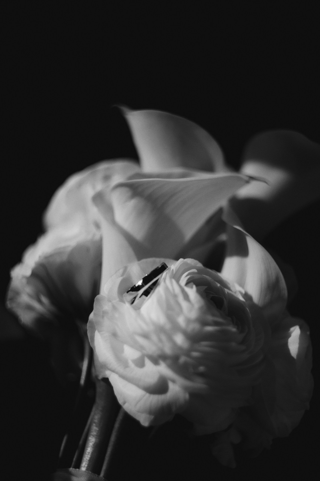 Отзывы. Фотограф в Ярославле Юлия Калыгина