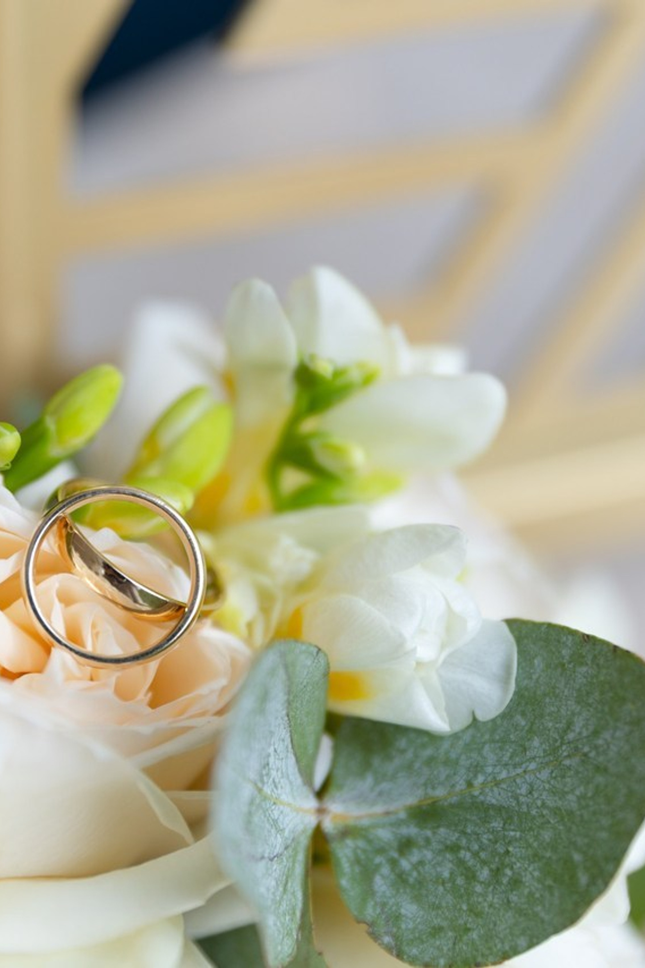 Отзывы. Фотограф в Москве и московской области Елена Волкова