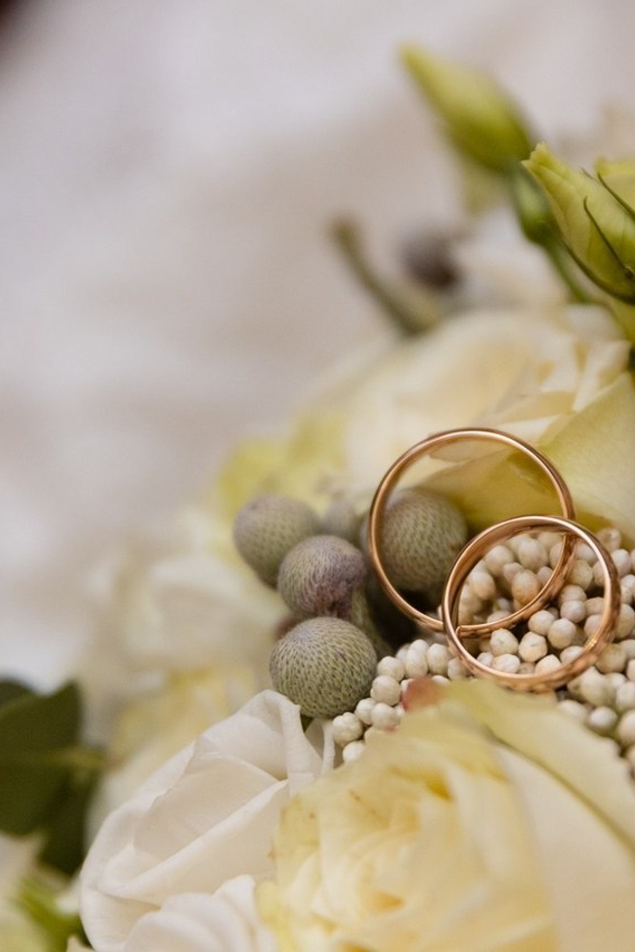 Отзывы. Фотограф в Москве и московской области Елена Волкова