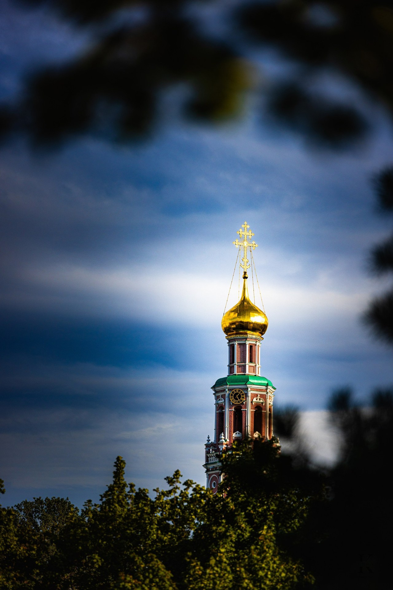 Тут оставляют отзывы клиенты. Фотографирую жизнь! Московский фотограф волонтер