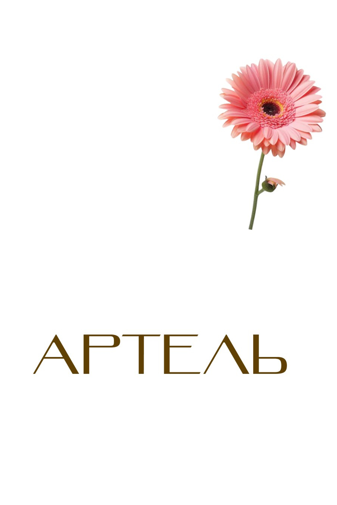 Графический дизайн. Art direction & Design | Curiosa