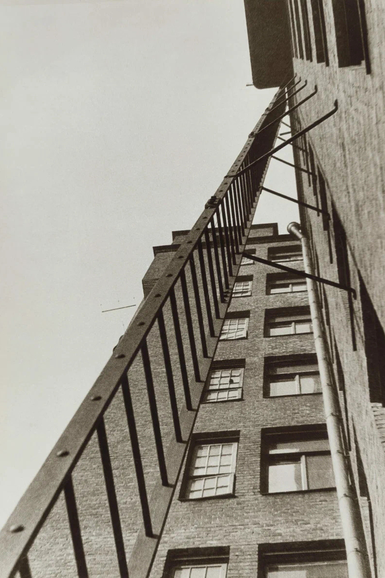 Хельмут Ньютон. Фотограф Владимир Кононенко