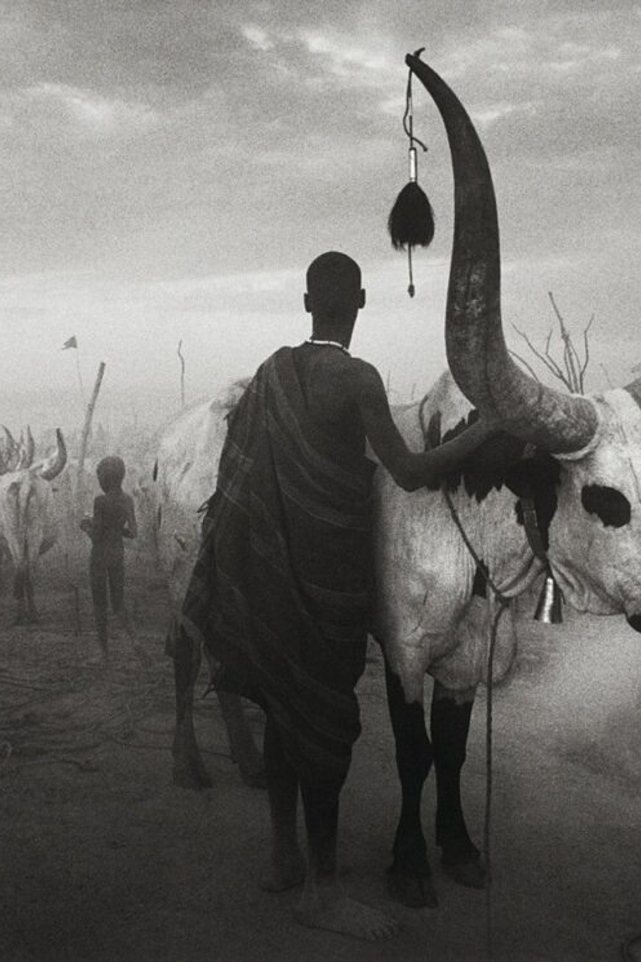 Хельмут Ньютон. Фотограф Владимир Кононенко