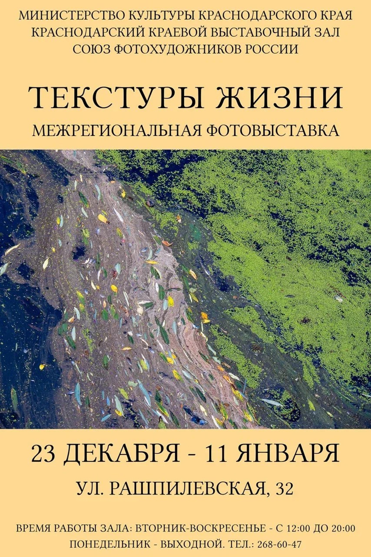 Участие в выставке «ТО — СЁ» в Ярославле. Вероника Вербицкая | Фотохудожник в Дублине
