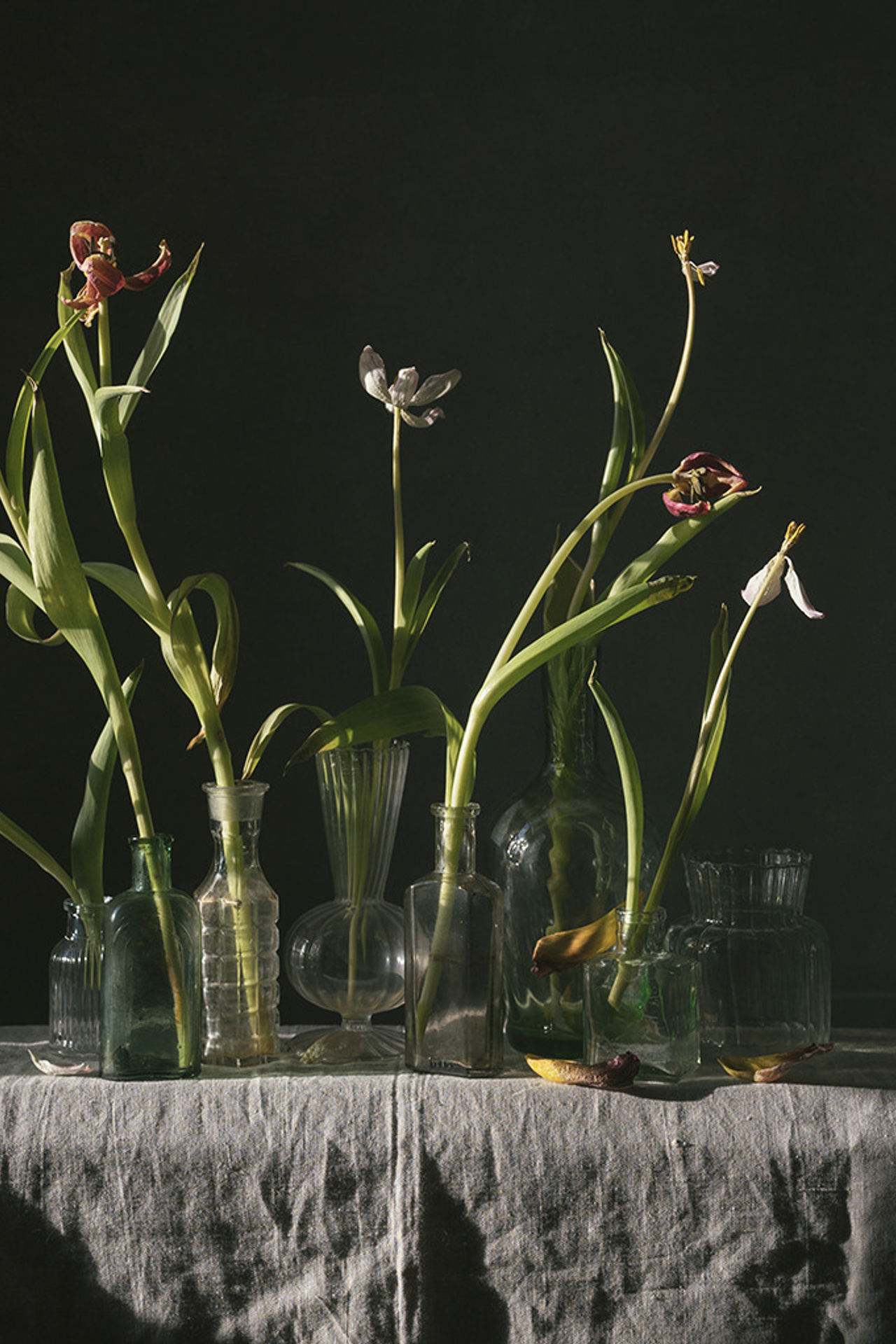 Топ 5 фото за апрель. Фотограф Елена Хазина, Рязань