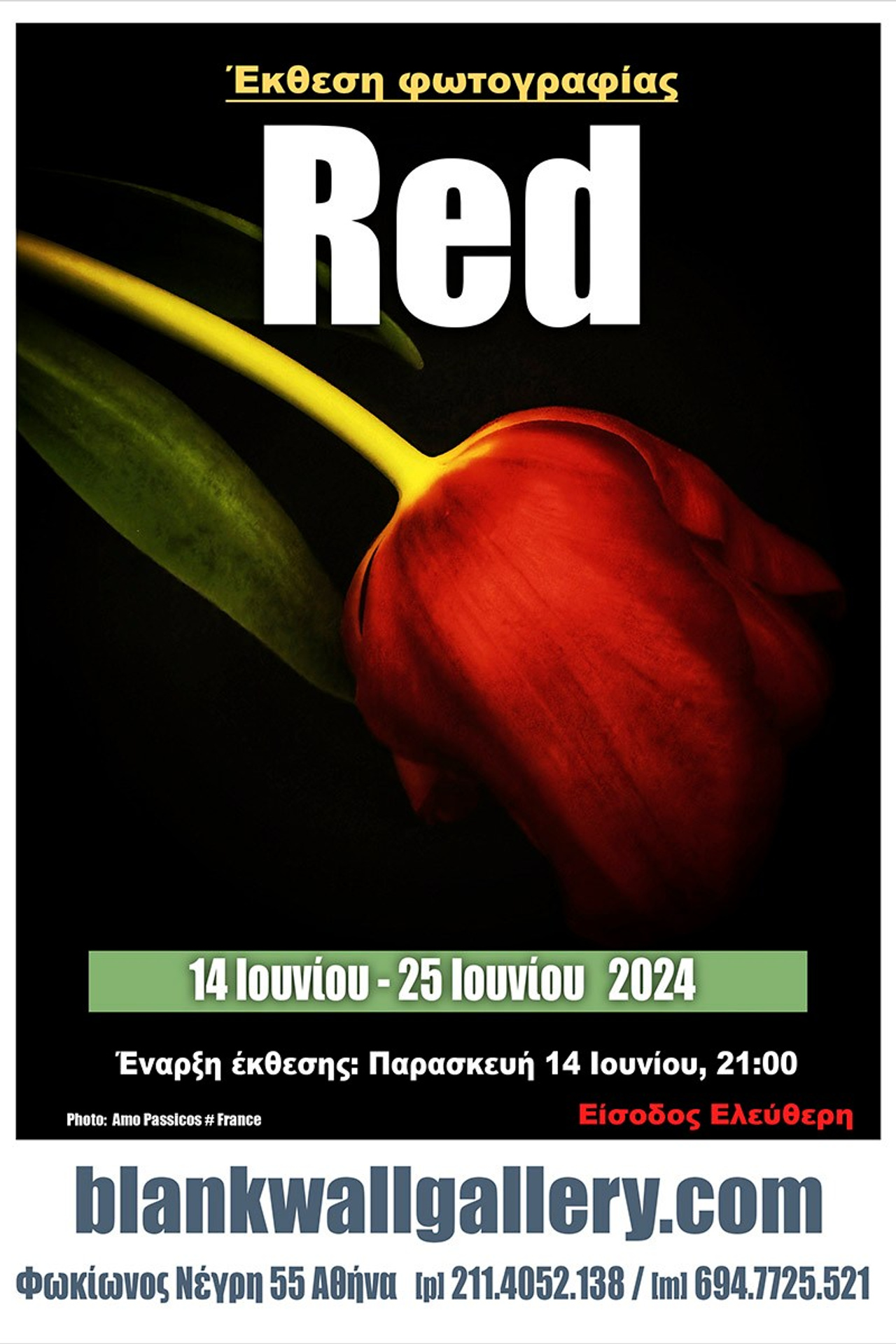 Выбор редакции АртКоко. Фотограф Елена Хазина, Рязань