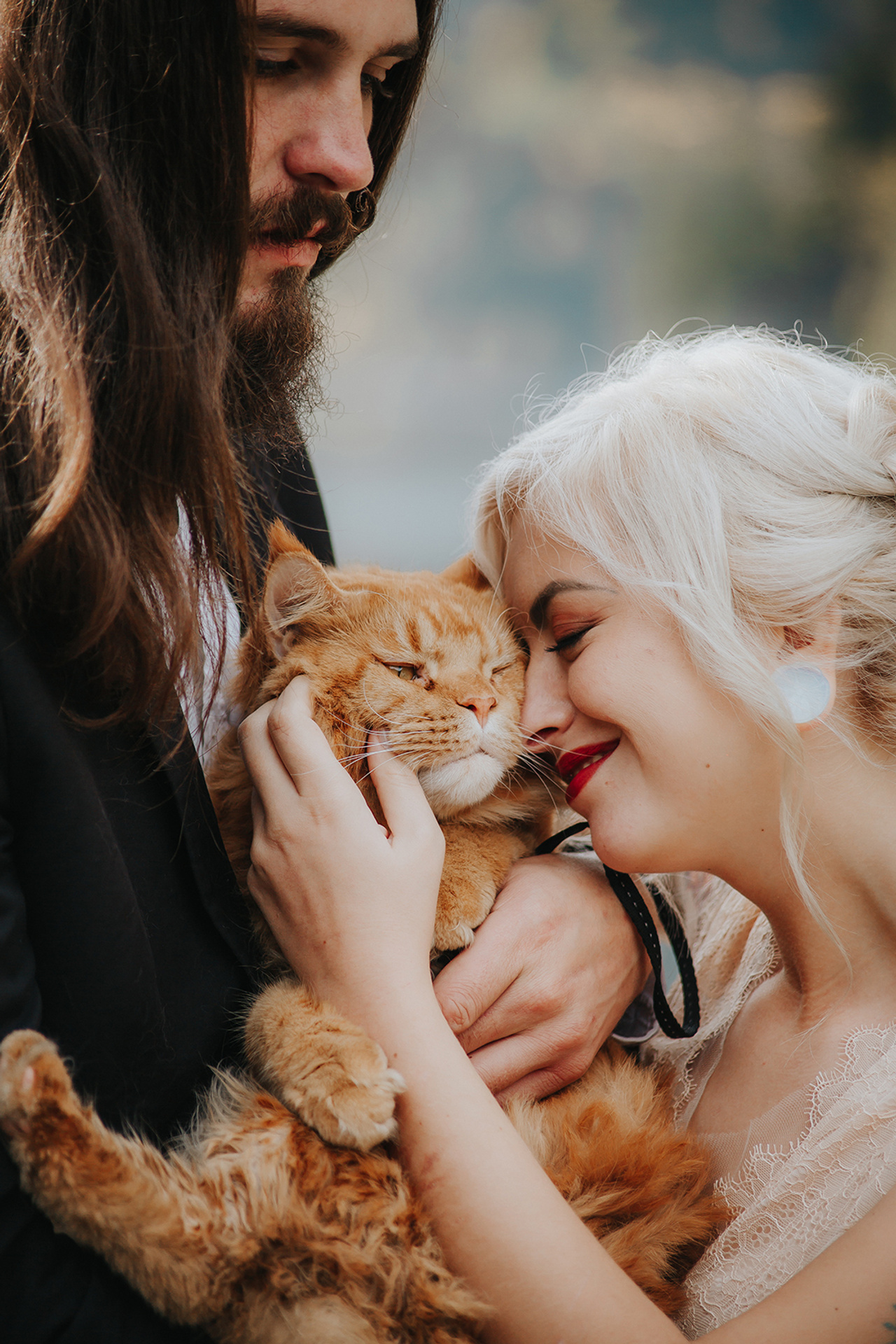 СВАДЬБА КОТОВ. СВАДЕБНЫЙ ФОТОГРАФ НАТАЛИКА