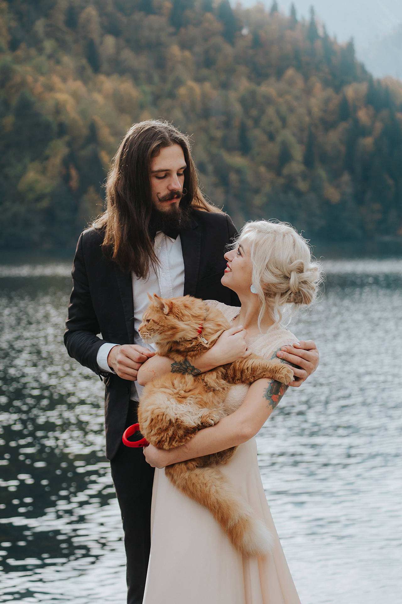 СВАДЬБА КОТОВ. СВАДЕБНЫЙ ФОТОГРАФ НАТАЛИКА