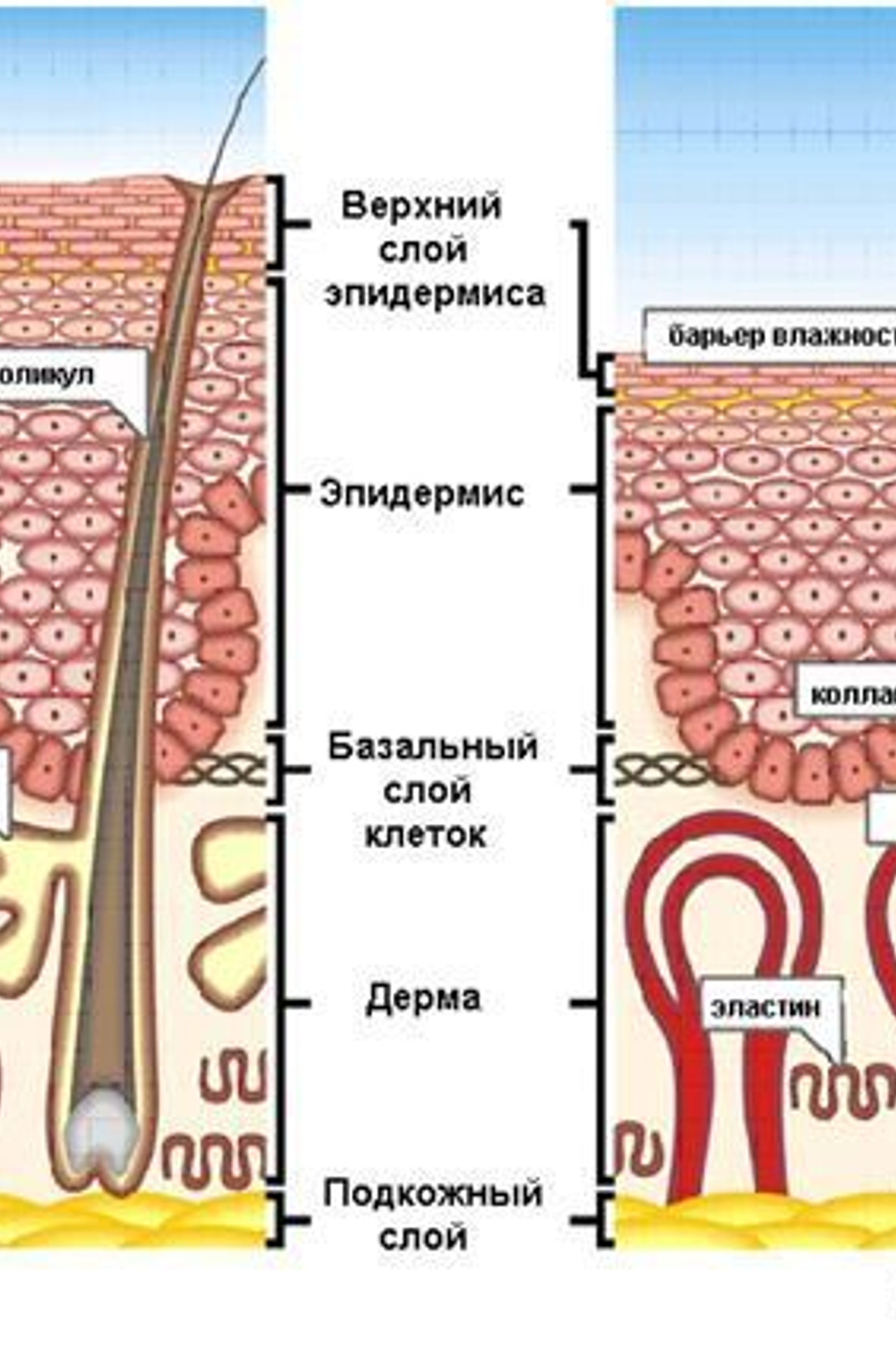 Пудровое напыление (копия). Парикмахер-стилист-колорист Соколова Ольга г. Дзержинск