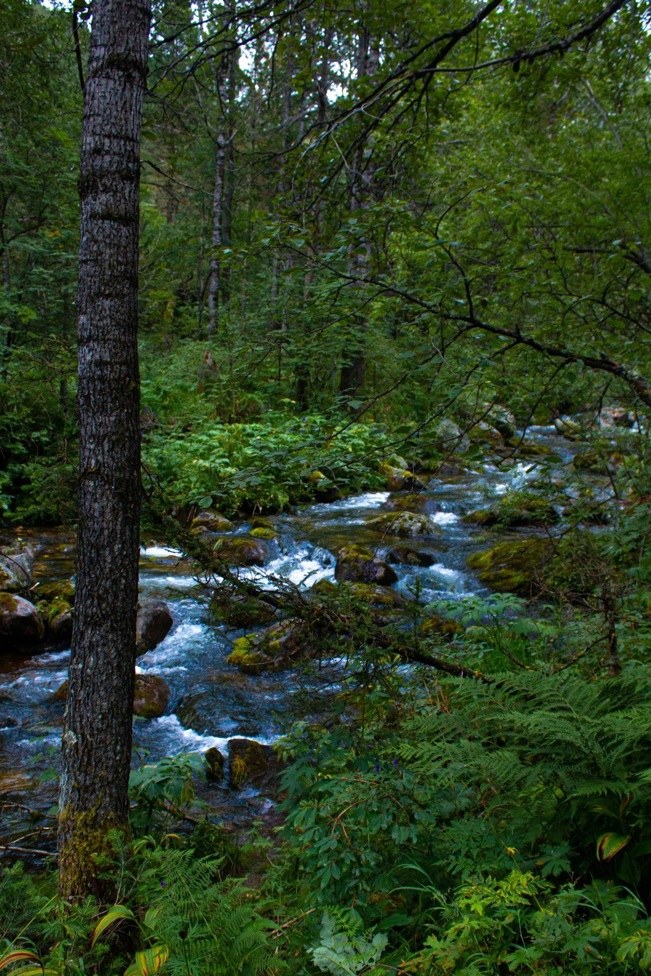 Отзывы. Алексей Островский — Фотограф г. Чита