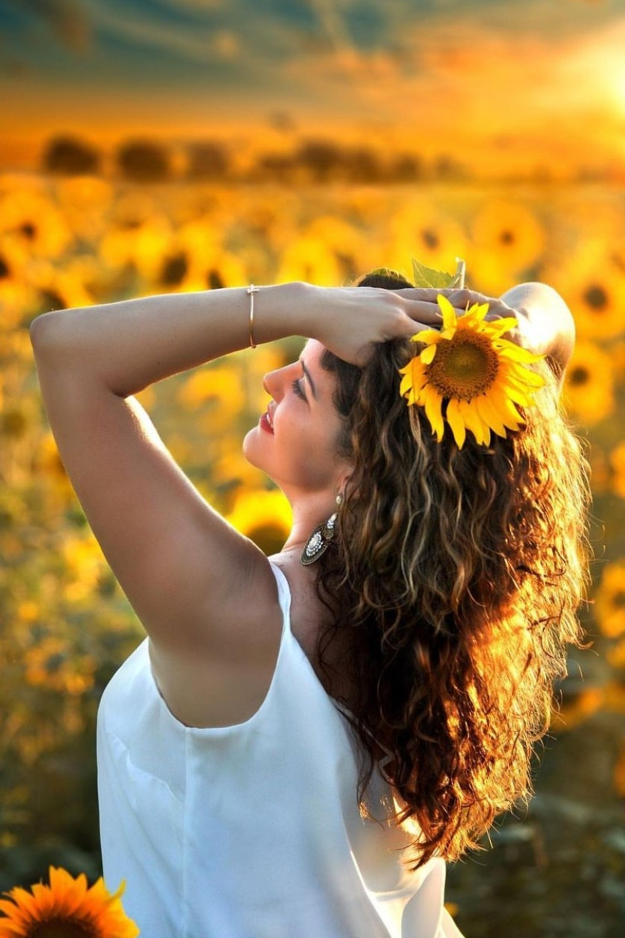 Подсолнухи