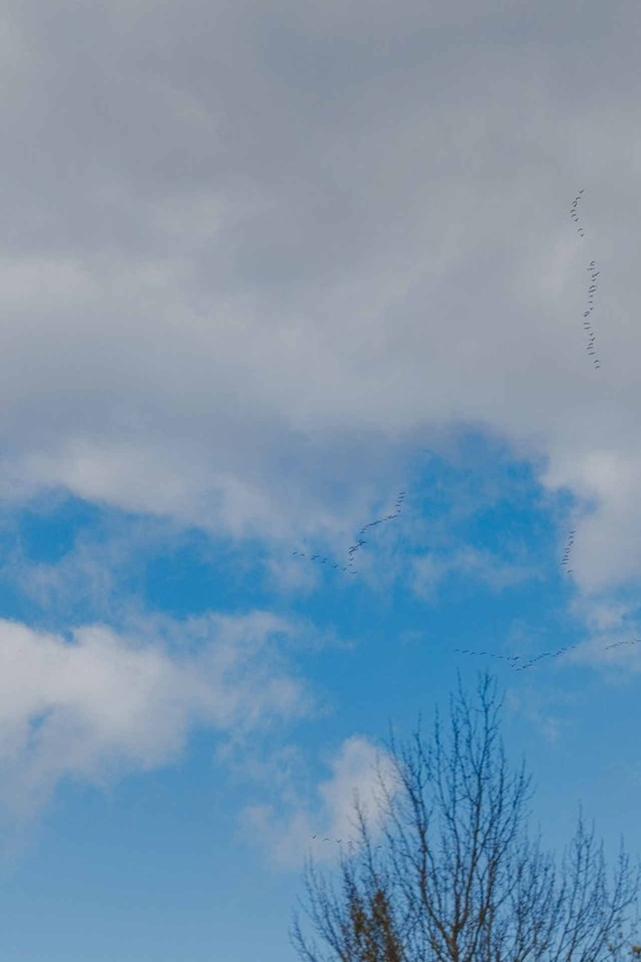 Отзывы. Фотограф- анималист Санкт-Петербург