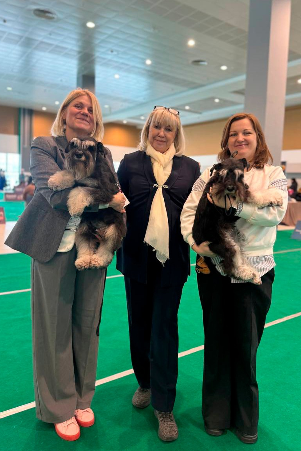 НОВОСТИ. Питомник цвергшнауцеров в Беларуси «Делинсо Бэлэнс»