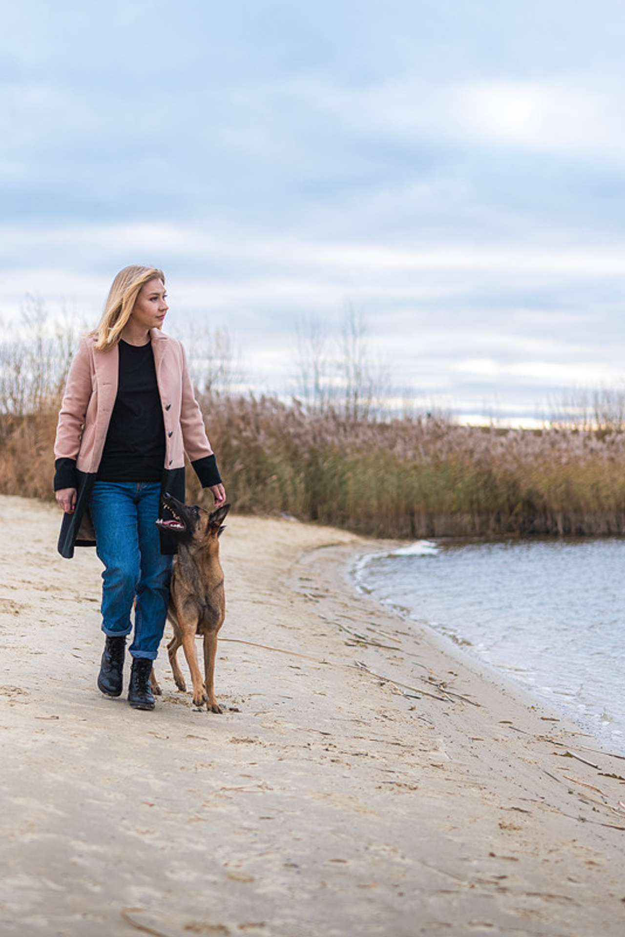 Истории, фотографии, подборка, сюжет, собака. Фотограф-анималист Крутиков Евгений
