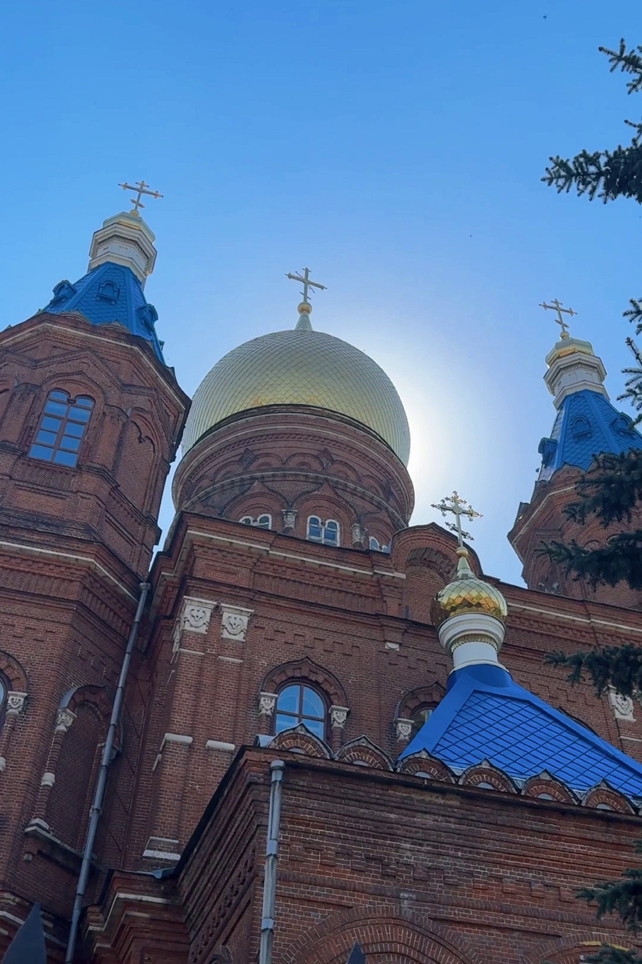 Отзывы. Фотограф Пенза/Сердобск