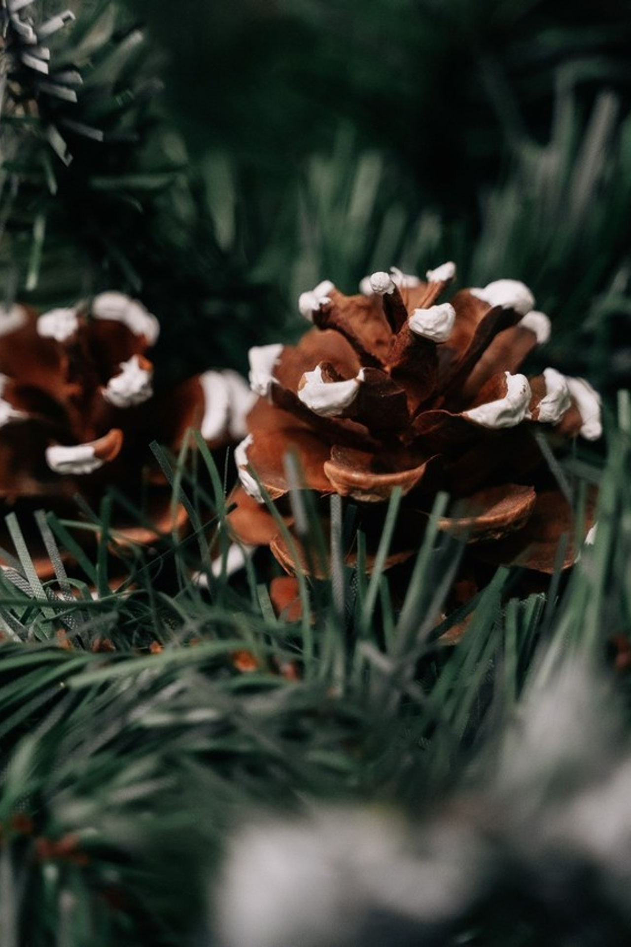 ОТЗЫВЫ. Свадебный и семейный фотограф в Москве и МО Геннадий Туманцев