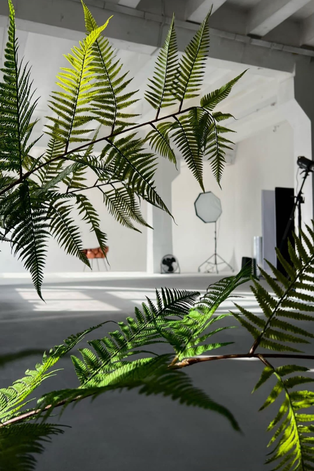 Студия ISO. Предметный контент — фотограф в Саратове Юлия