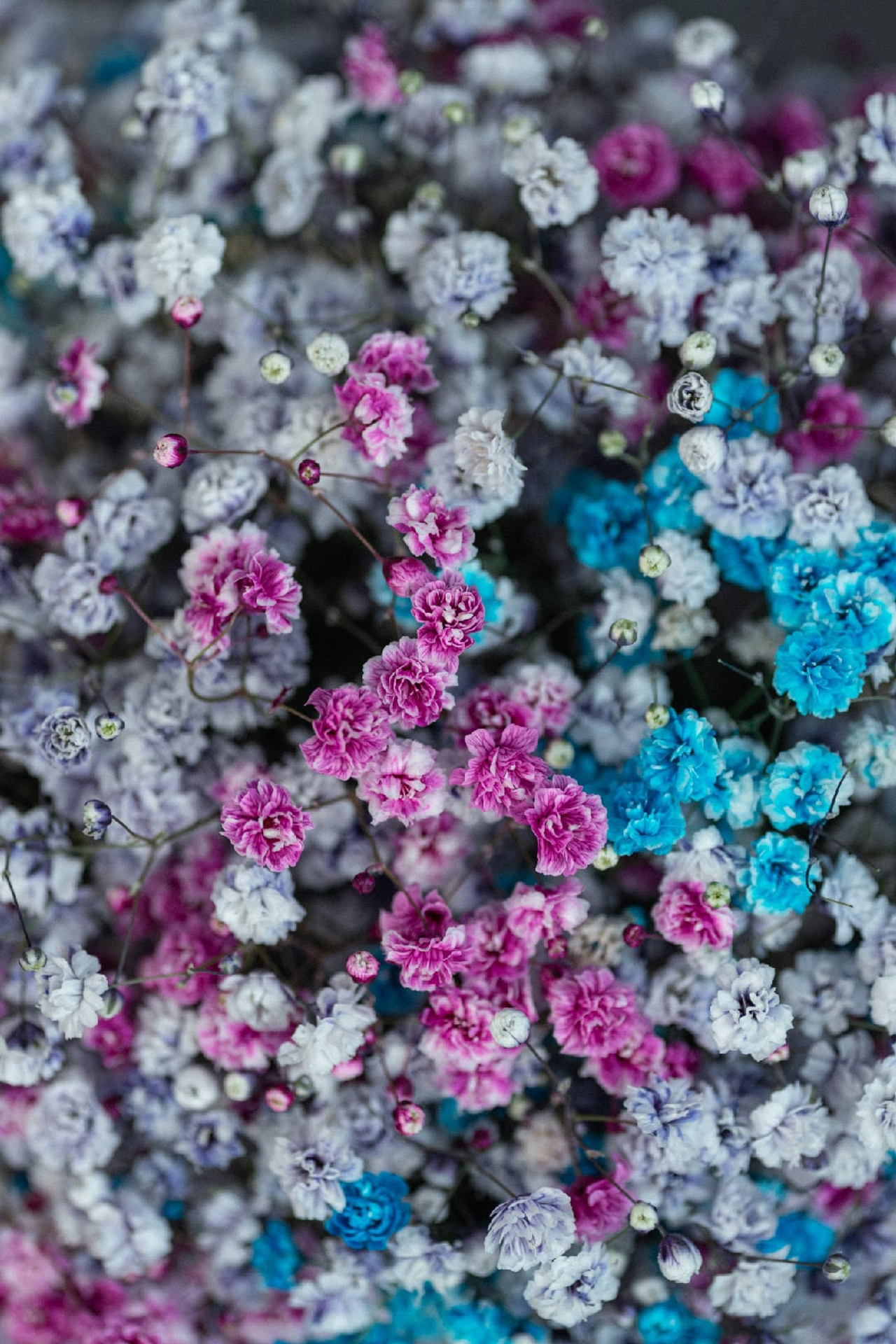 Предметная съемка. Предметный контент — фотограф в Саратове Юлия