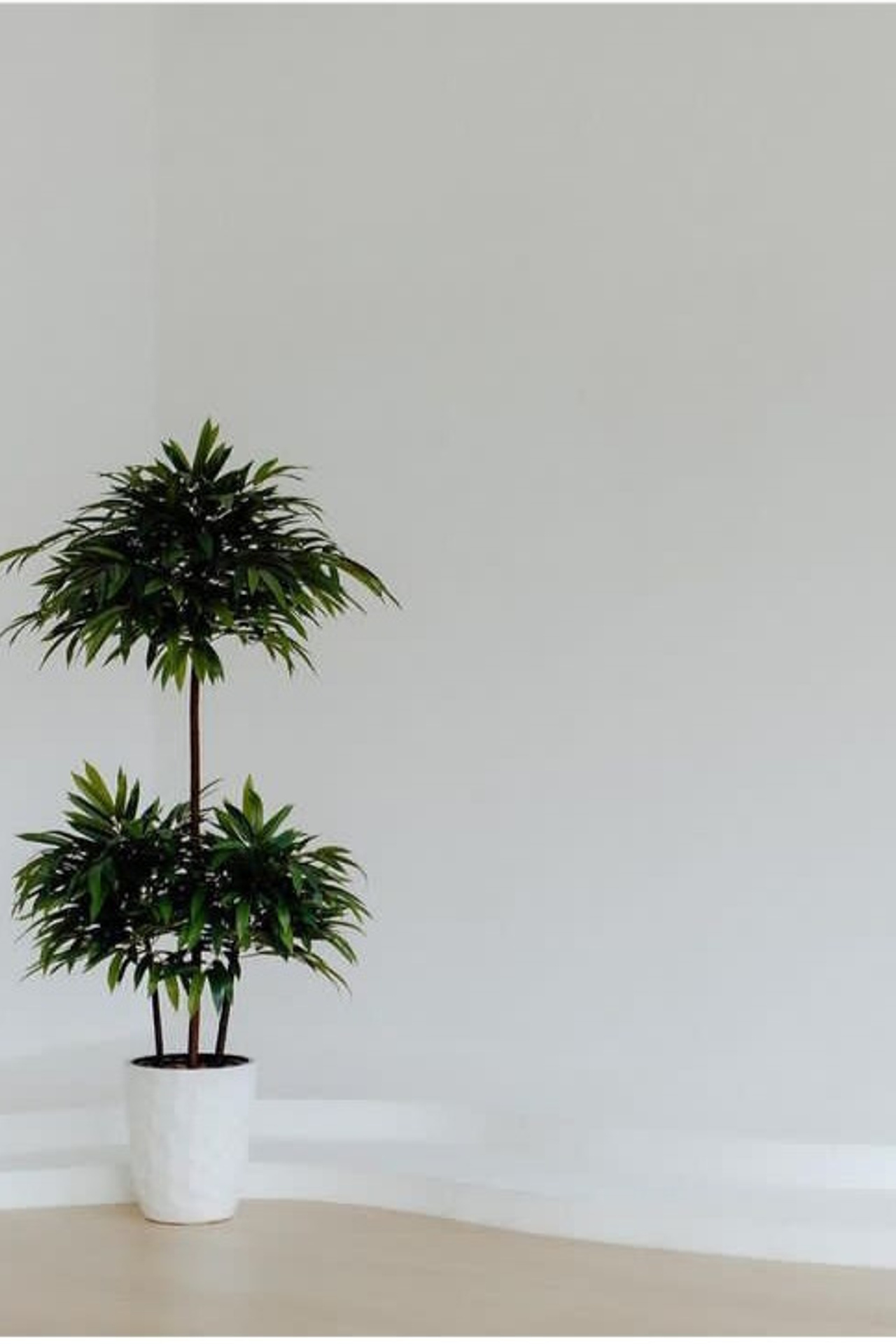 Студия ISO. Предметный контент — фотограф в Саратове Юлия