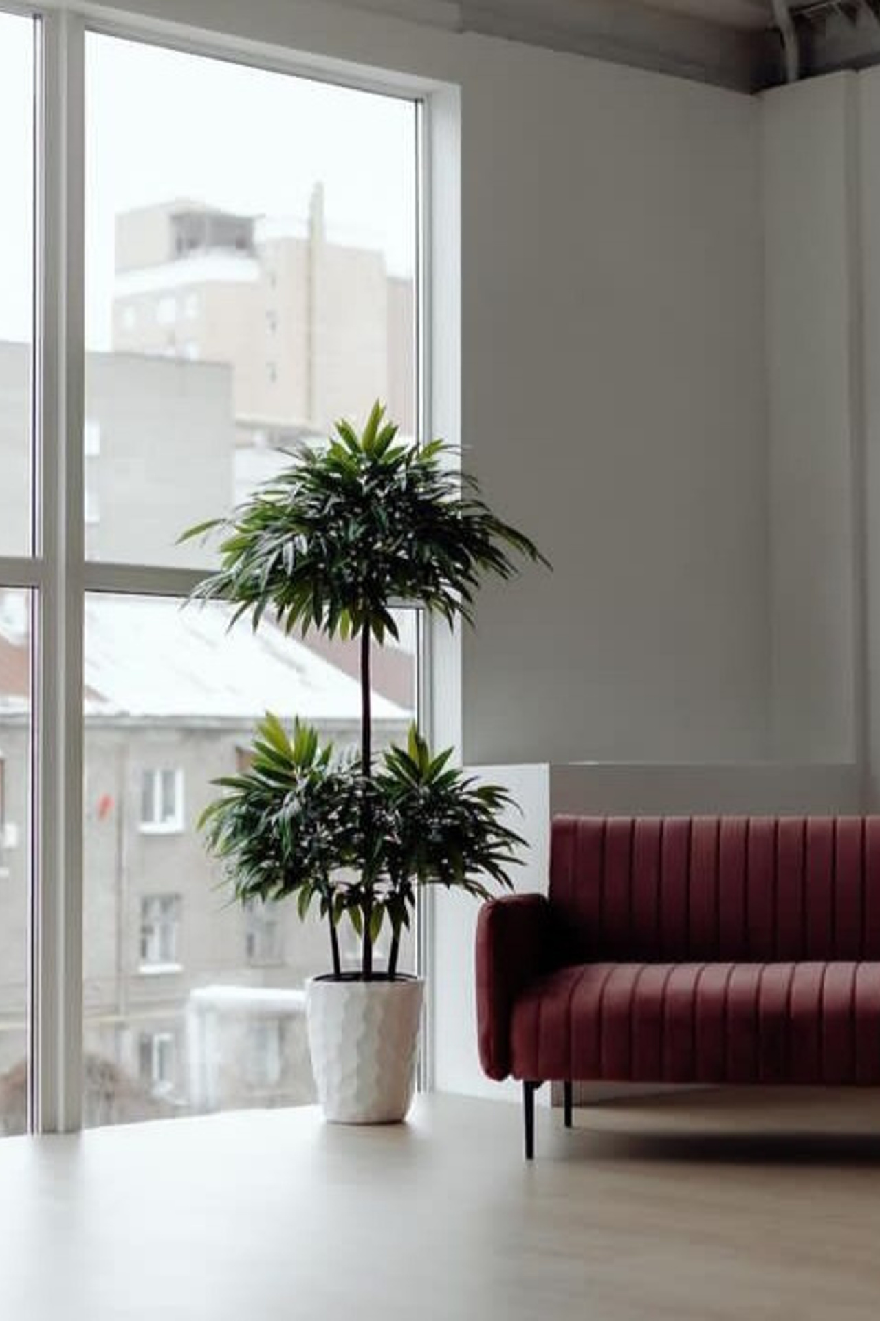 Студия ISO. Предметный контент — фотограф в Саратове Юлия