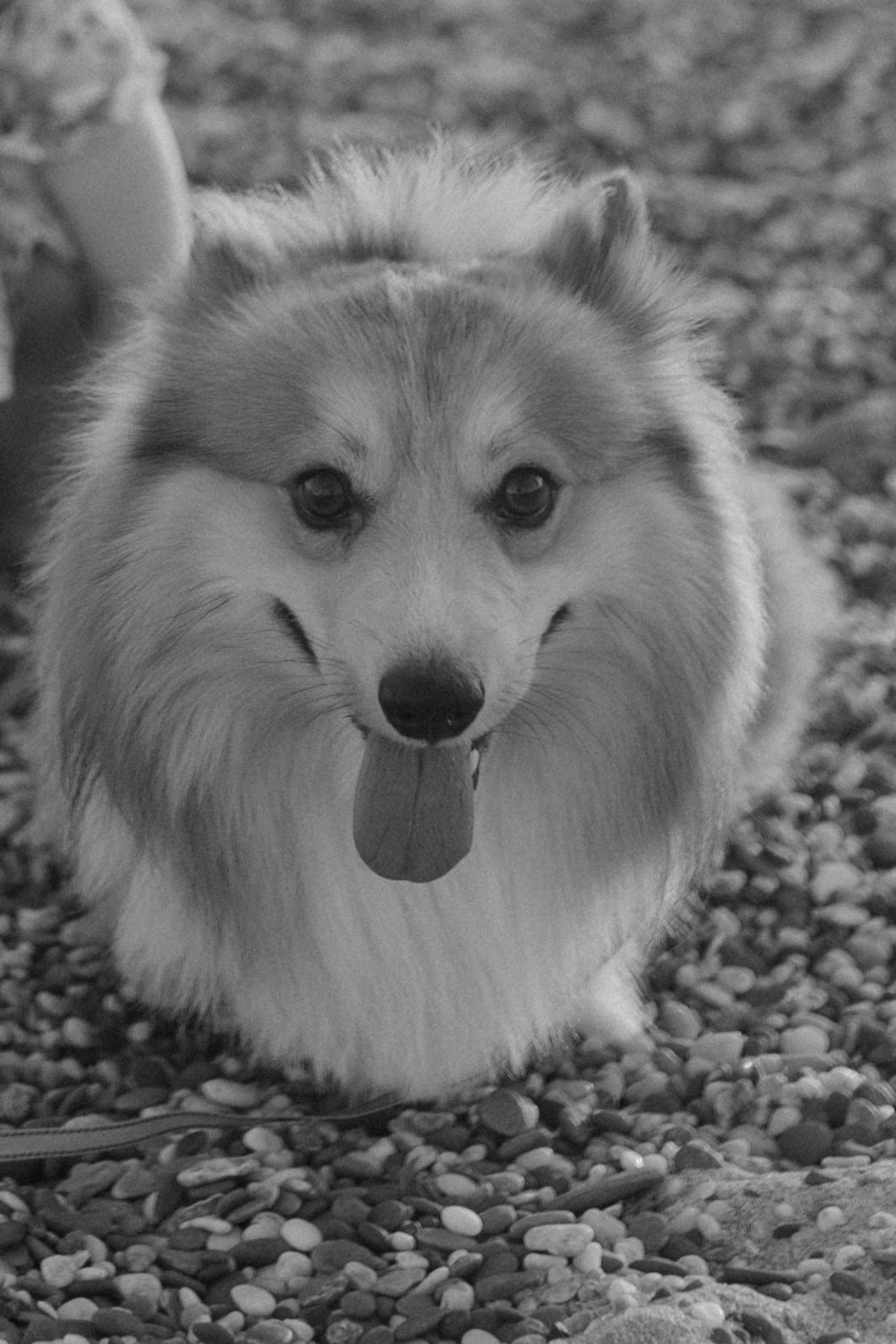 Отзывы. Индивидуальные и семейные съемки в Евпатории, Крыму Немировченко Анна