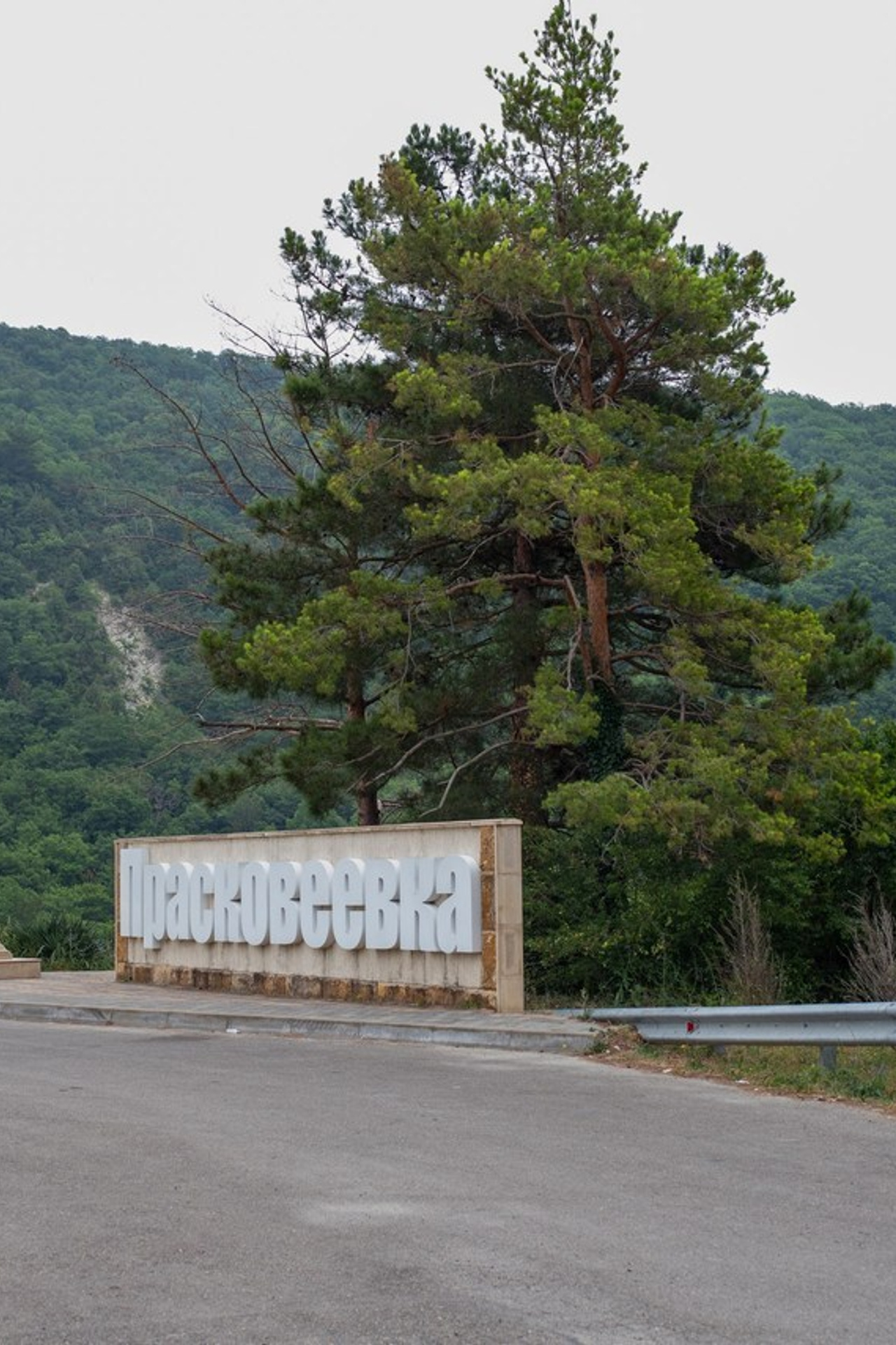 Отзывы