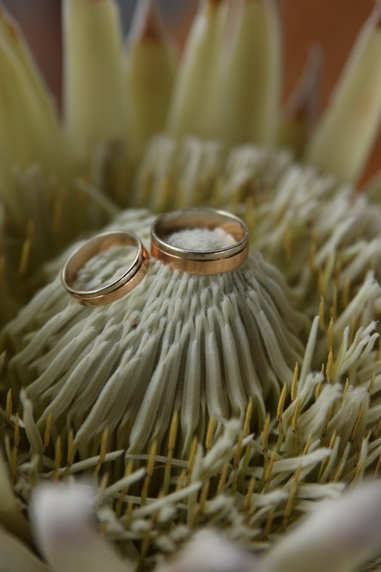 Отзывы. Свадебный и семейный фотограф в Крыму и Севастополе Дарья Королева