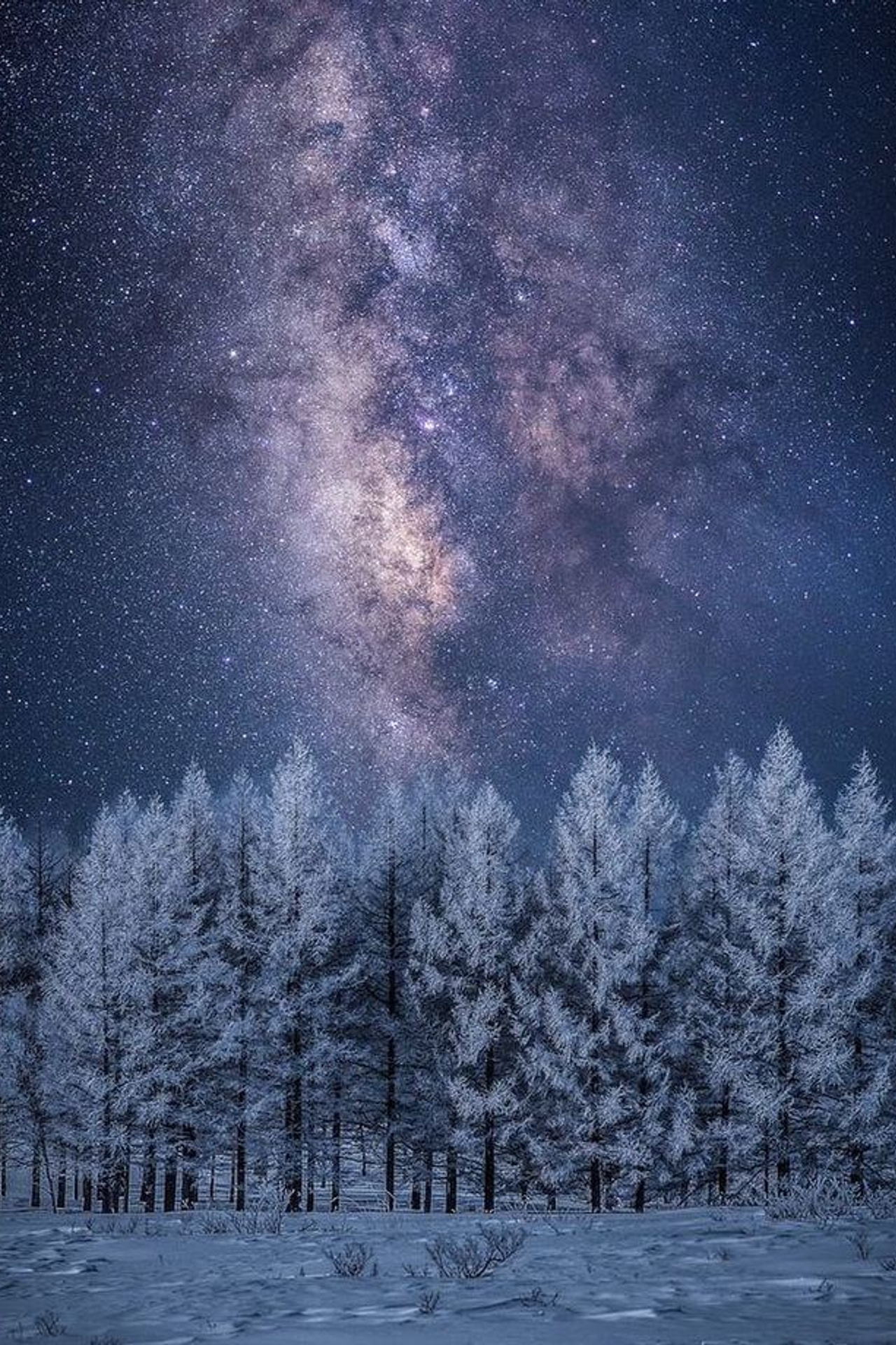 Театры, кино, выставки, премьеры в Перми. Журнал о самом особенном. Пермь и Пермский край