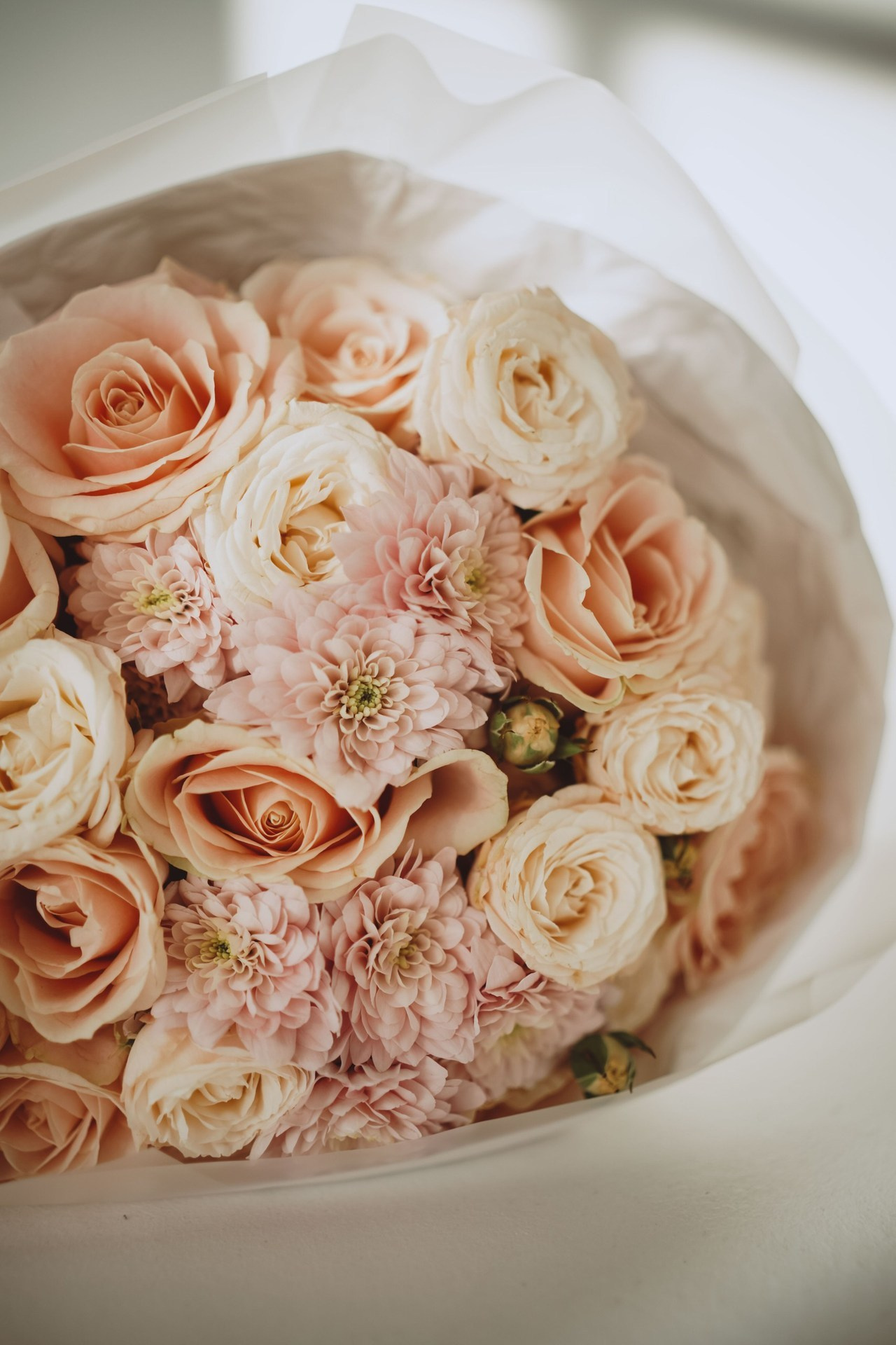 Отзывы. Фотограф в Сочи Щетинина Анастасия