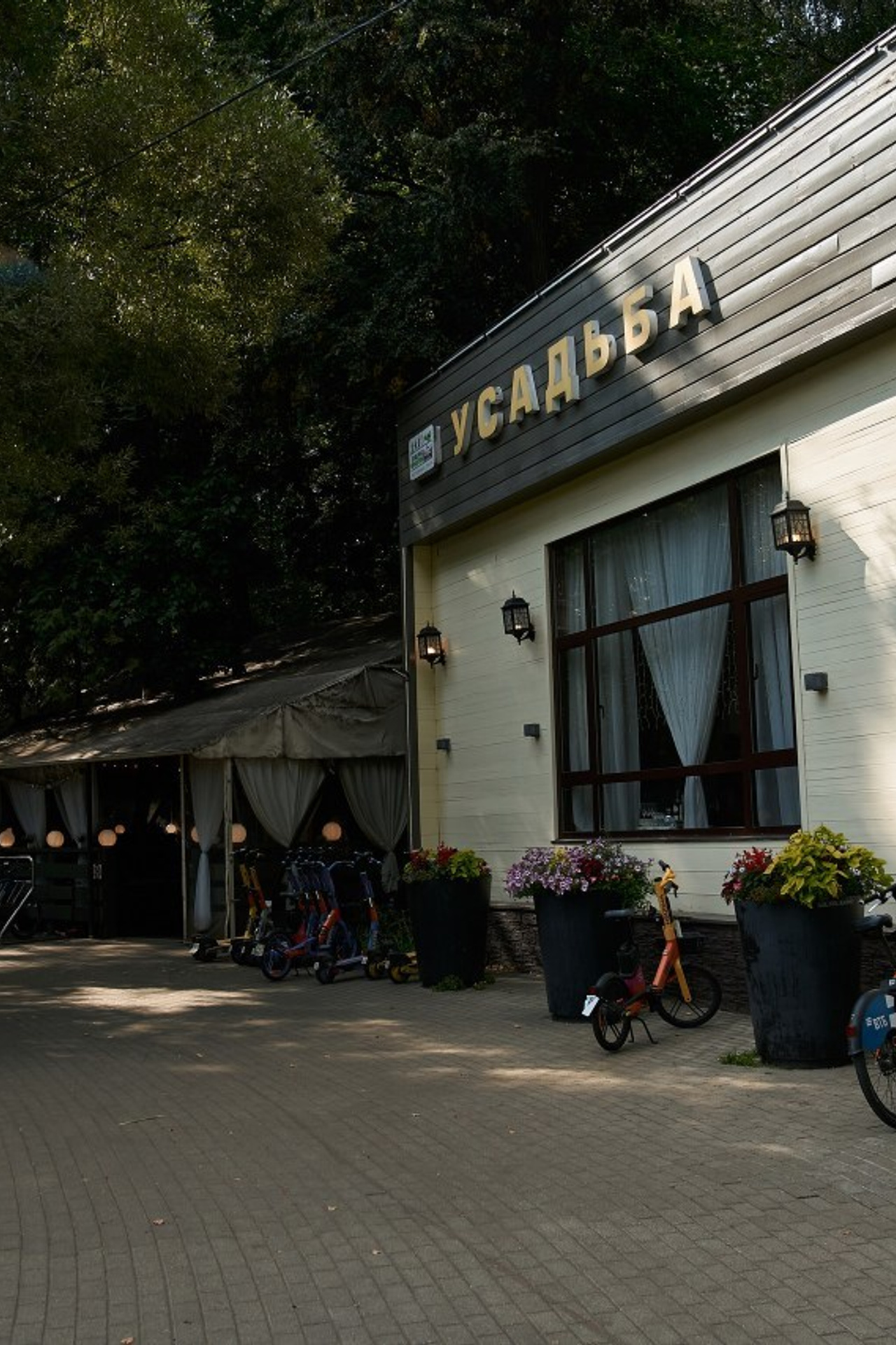 Отзывы. Yankovski_001