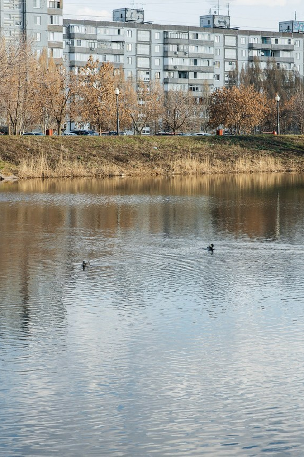 Отзывы о свадебном репортажном фотографе в  Самаре