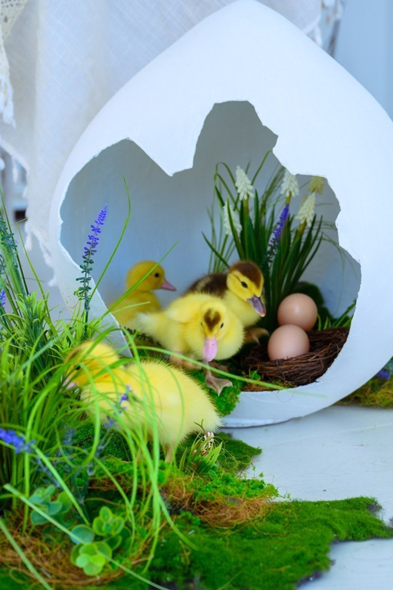 Отзывы. Фотограф. Выпускные альбомы в Барнауле