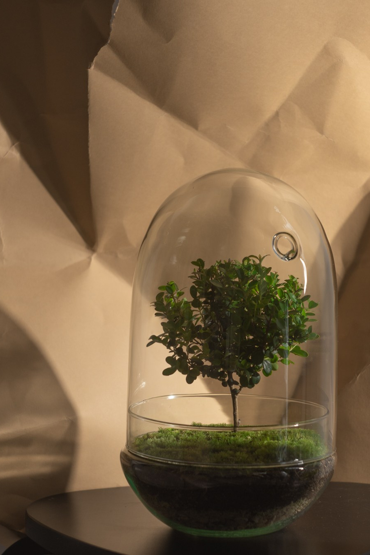 Домашний декор