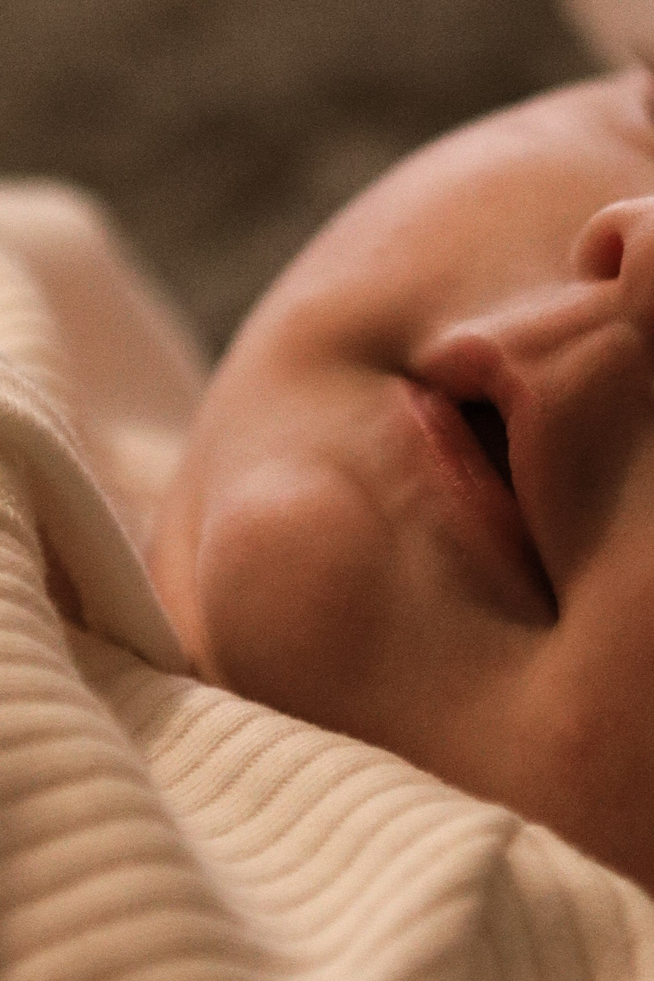 Домашняя семейная. Главная