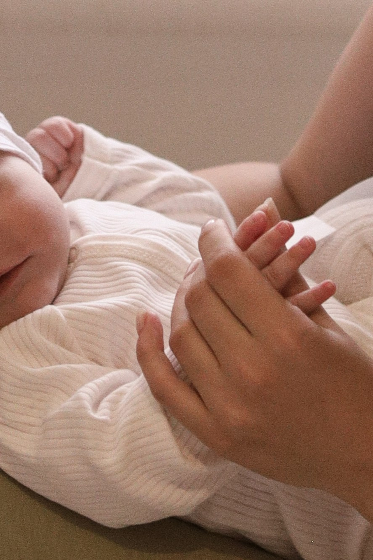 Домашняя семейная. Главная