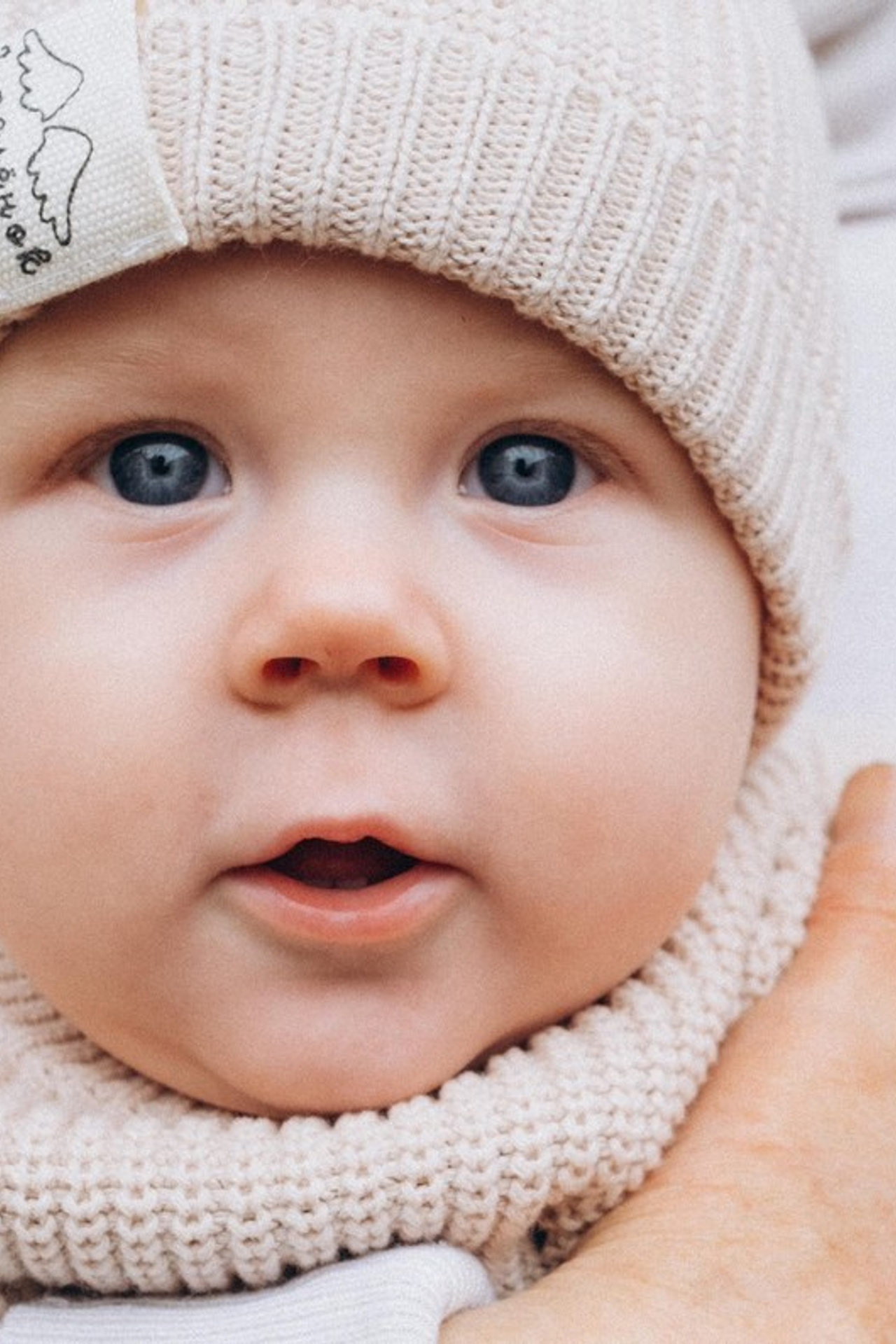 Отзывы. Семейный фотограф и анималист в Москве Анна Иванова