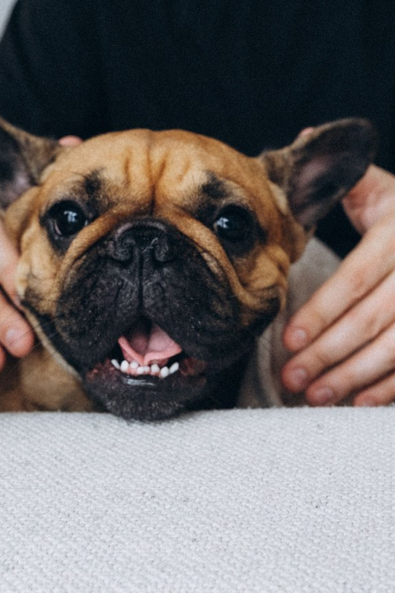 Отзывы. Семейный фотограф и анималист в Москве Анна Иванова